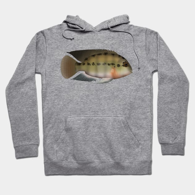 True Parrot Cichlid Hoodie by FishFolkArt